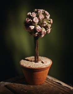 模型量化